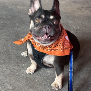 Fundraising Page: Pasha - Myya Kuzu